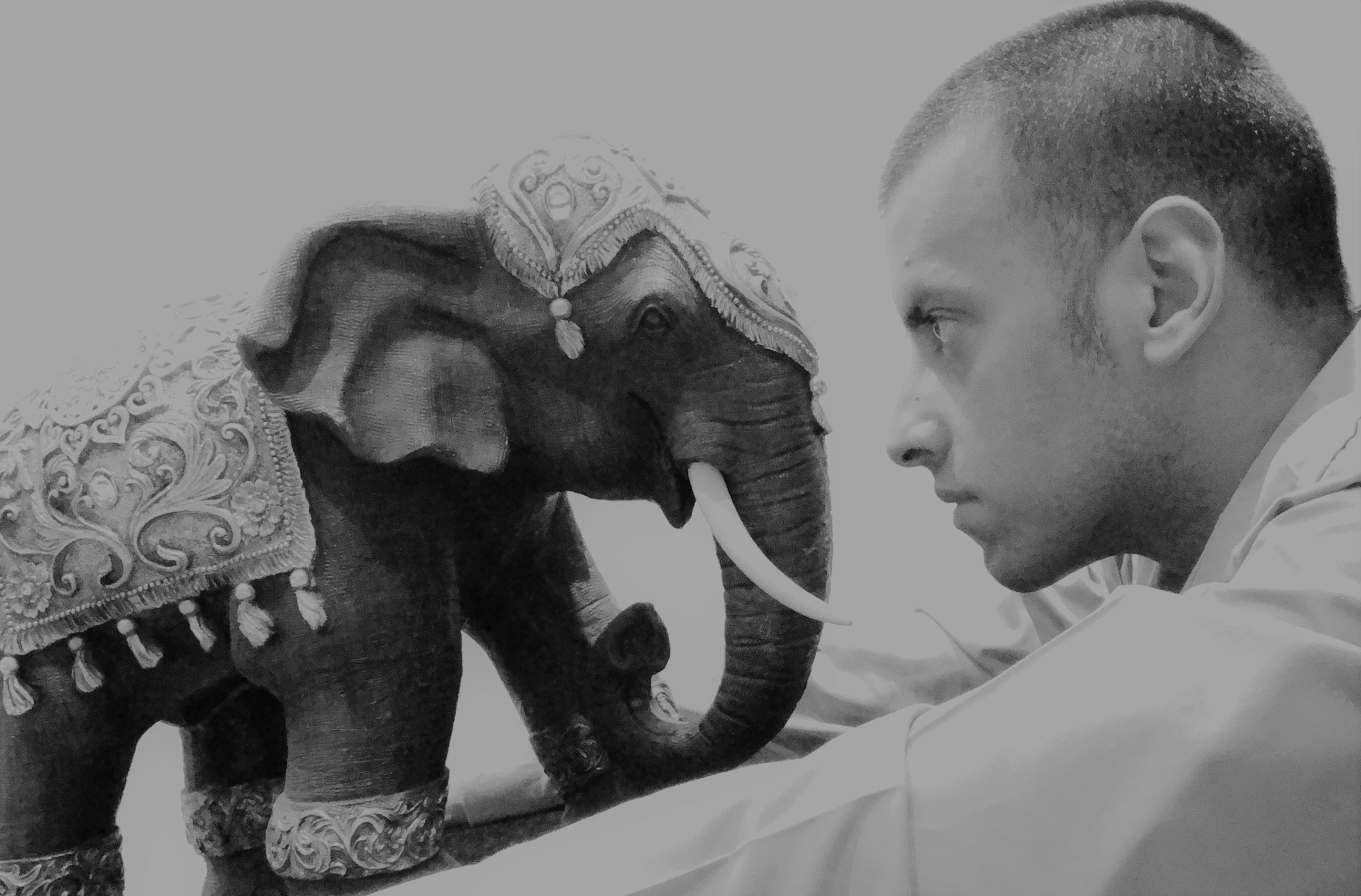 They say that an elephant never forgets. Here Girish is with an elephant decor item in an elegant black and white photo